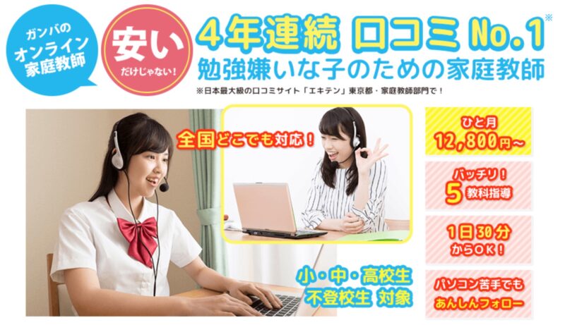 【口コミ】発達障害児の親が安心して相談できる家庭教師おすすめ6選 66 ガンバのサイトイメージ