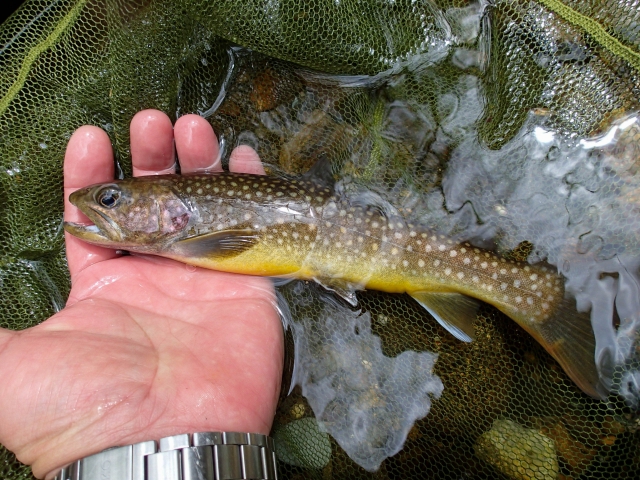 【中学受験】神奈川の男子御三家とは?特徴・入試結果・大学実績を徹底比較 20 4260954 s
