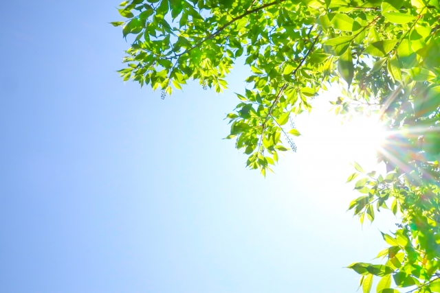 【中学受験】神奈川の男子御三家とは?特徴・入試結果・大学実績を徹底比較 19 4958794 s