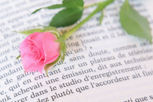 【中学受験】神奈川の女子御三家とは?特徴・入試結果・大学実績を徹底比較 24 rose book