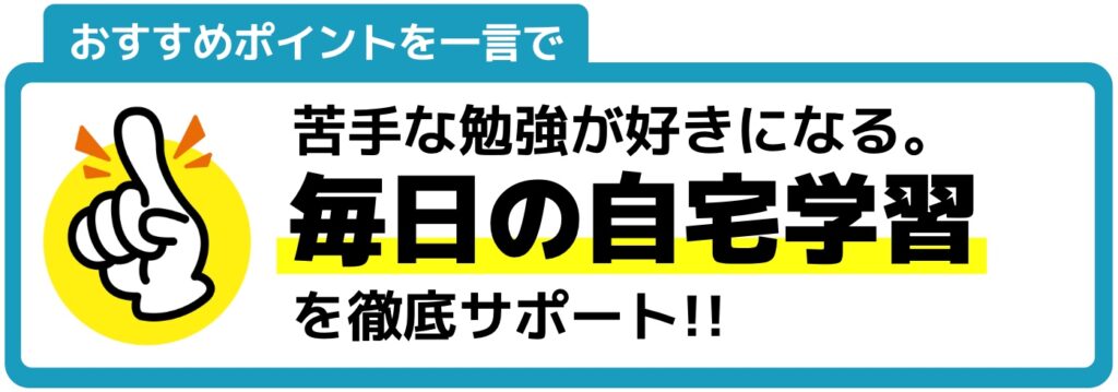 【親が選んだ】オンライン家庭教師おすすめ人気ランキングTOP10 115 銀河のおすすめポイント図解
