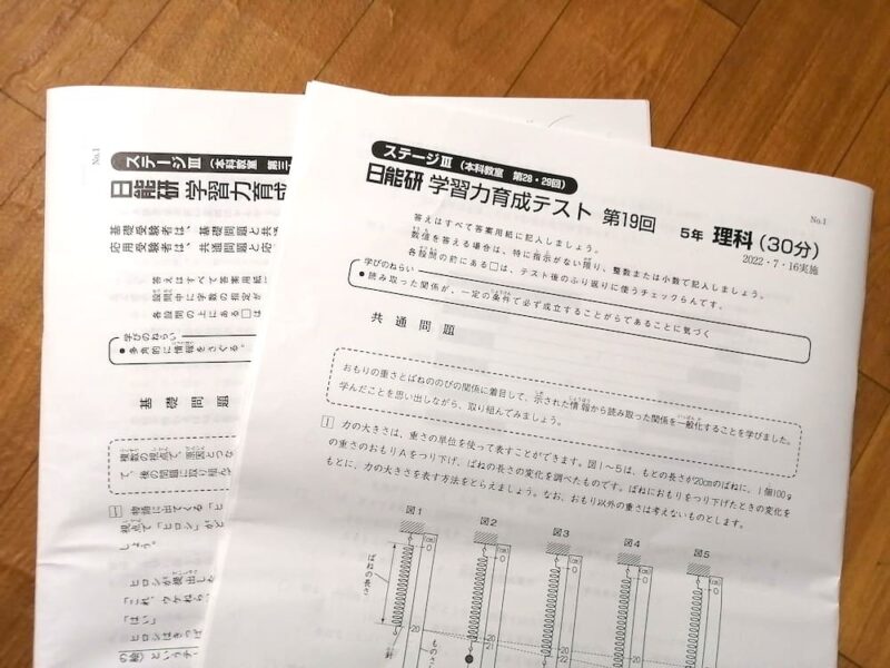 【日能研5年生の費用】毎月支払った料金を公表!夏期冬期講習/2科/4科 24 日能研5年の育成テスト