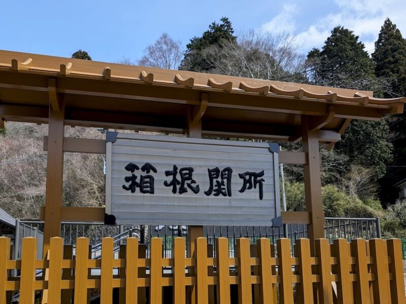 【経験者が伝える】中学受験で低学年からやっておくべきこと! 39 PXL 20250330 022215929