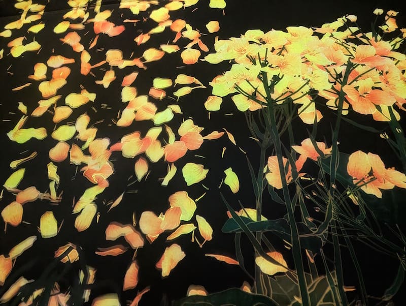 【経験者が伝える】中学受験で低学年からやっておくべきこと! 49 PXL 20250419 051401416