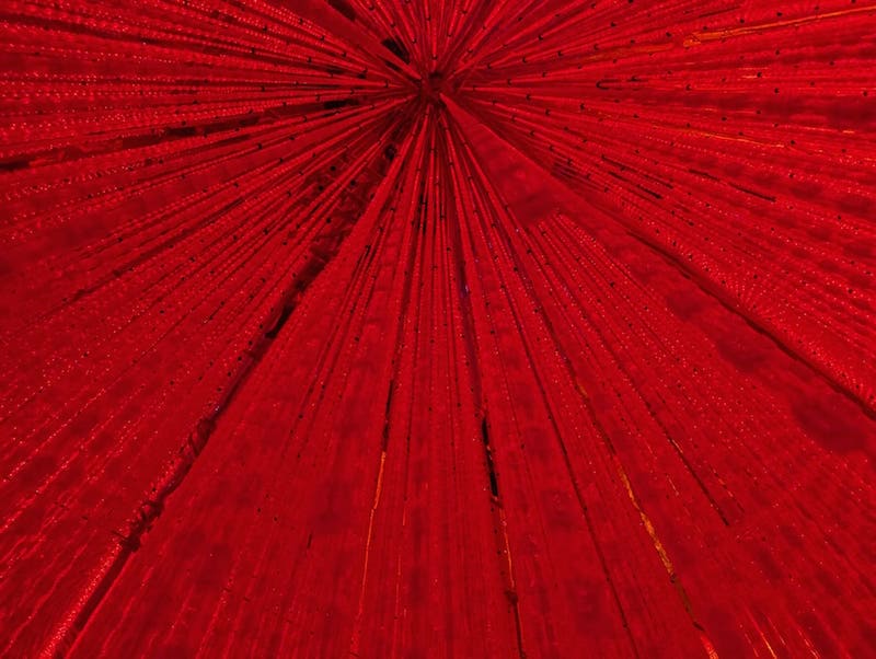 【経験者が伝える】中学受験で低学年からやっておくべきこと! 50 PXL 20250419 060422271.MP