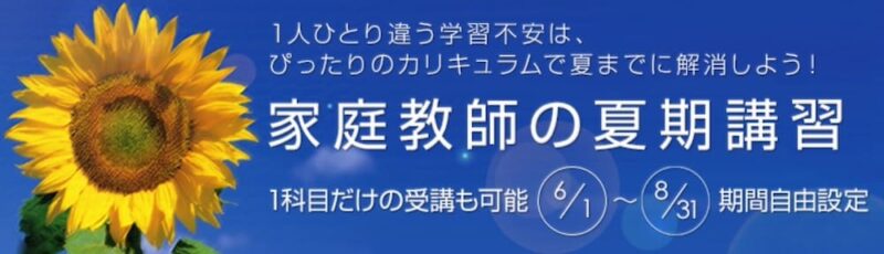 短期単発で依頼できる家庭教師5選【夏期講習や苦手対策にも】 27 スクリーンショット 2024 08 15 21.32.13